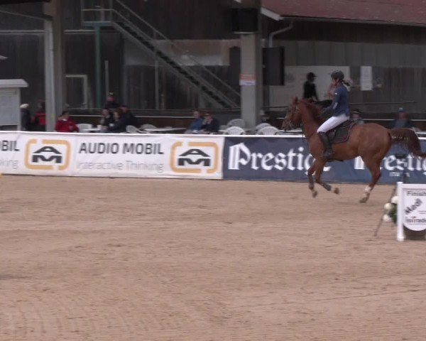 Reitturnier Ranshofen - Braunau am Inn 2025