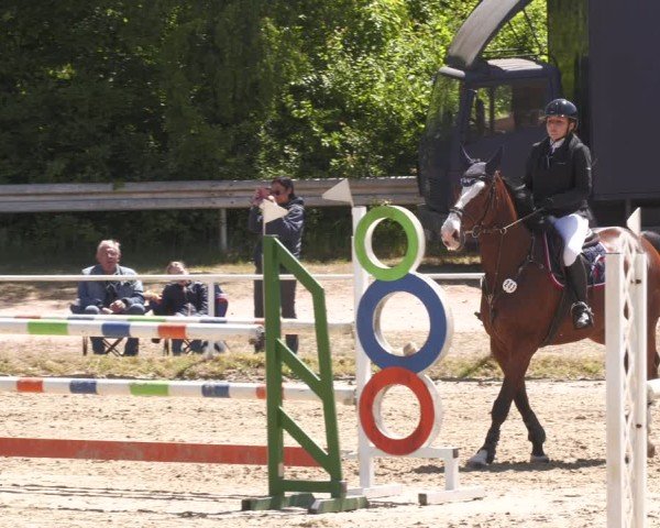Reitturnier Heiligenwald 2025