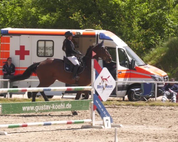 Reitturnier Heiligenwald 2025