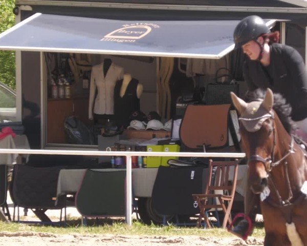 Reitturnier Heiligenwald 2025