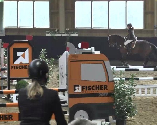Hallenspringturnier Weilheim/Teck 2014