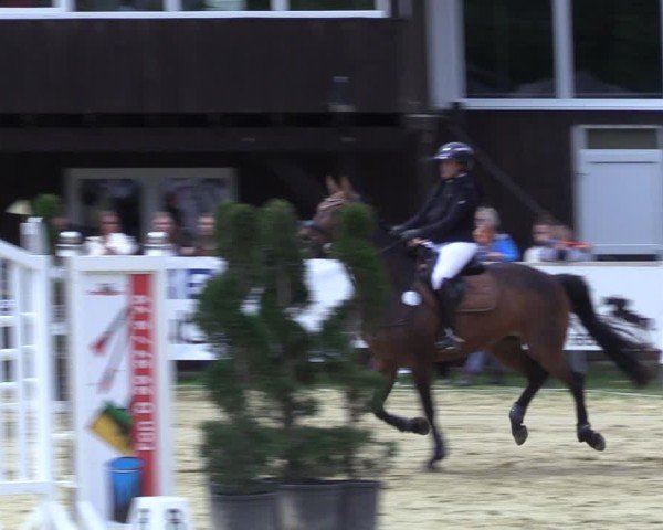 Reitturnier Niederbergheim 2025