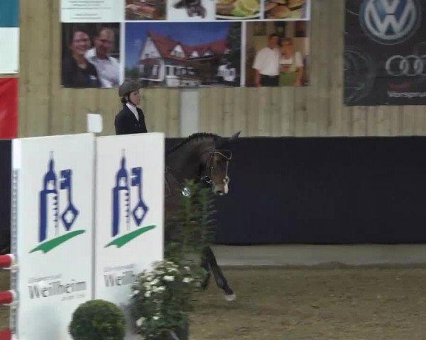 Hallenspringturnier Weilheim/Teck 2014