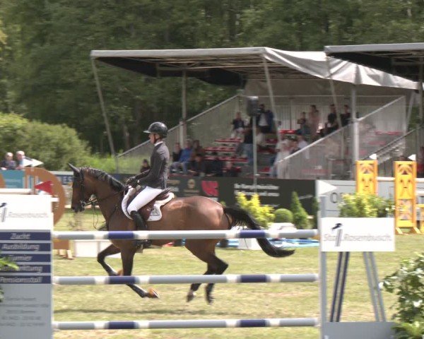 Reitturnier Bremen - Reitanlage Forkert 2025