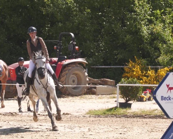 Reitturnier Heiligenwald 2025