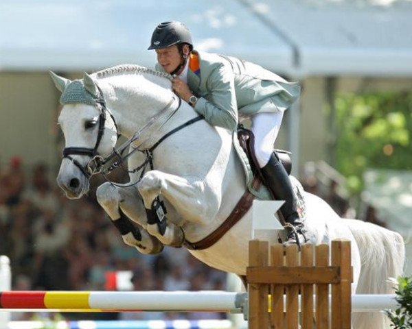 horse Clinton S (Westphalian, 1999, from Coronino)