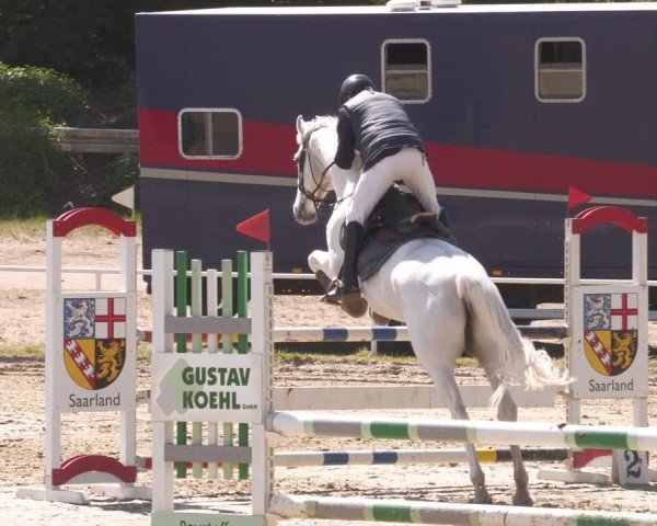 Reitturnier Heiligenwald 2025