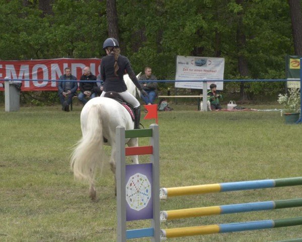 Reitturnier Massen 2025