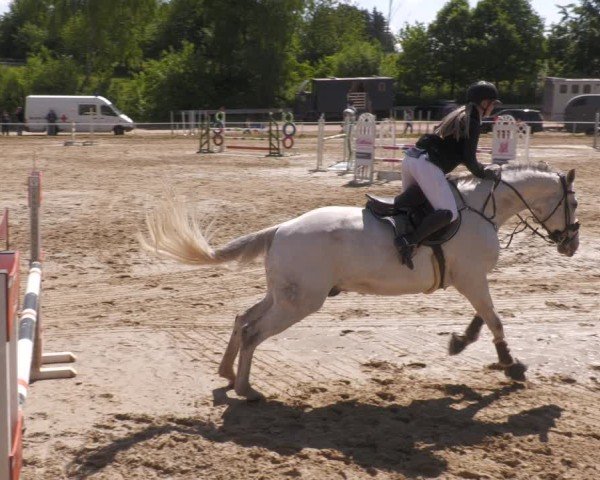 Reitturnier Heiligenwald 2025