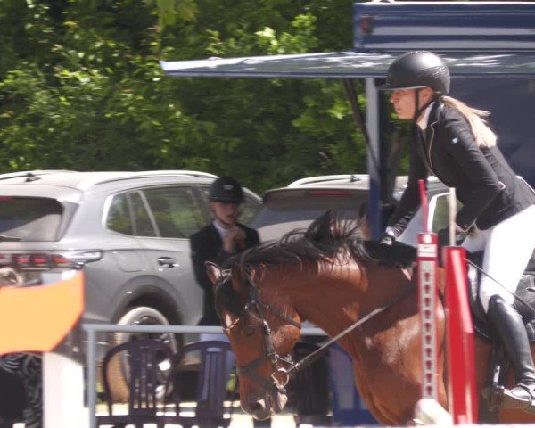 Reitturnier Heiligenwald 2025