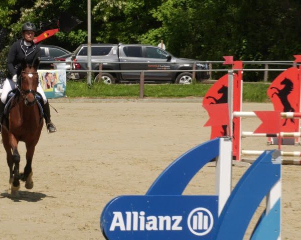 Reitturnier Winnenden 2025