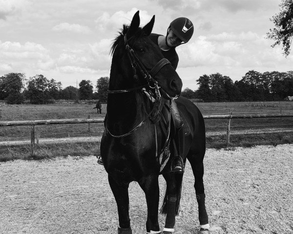 horse Bon Dieu (Oldenburg, 2016, from Bon Coeur)