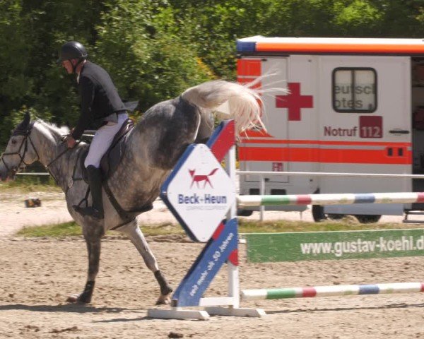 Reitturnier Heiligenwald 2025