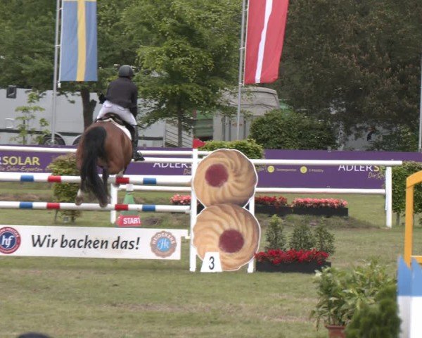 Reitturnier Bremen - Reitanlage Forkert 2025