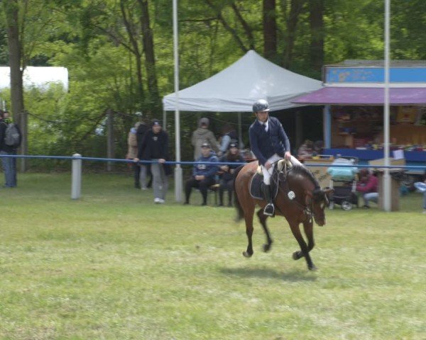 Reitturnier Massen 2025