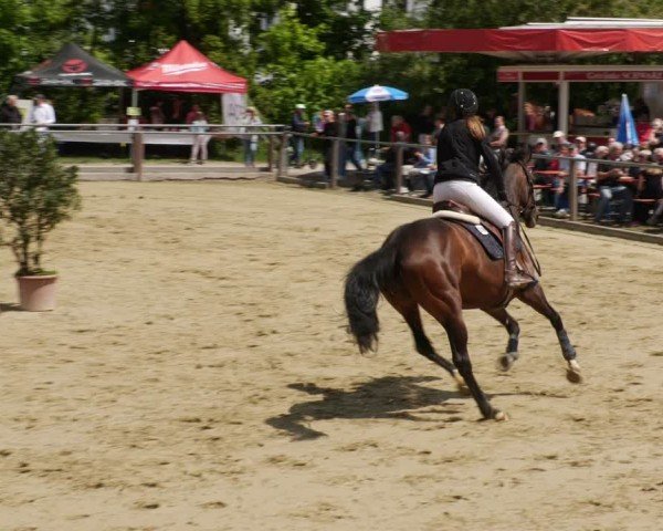 Reitturnier Winnenden 2025