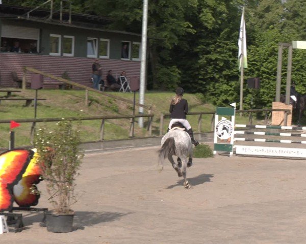 Reitturnier Erkrath - Uhlenhof 2025