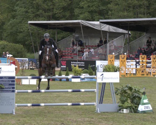 Reitturnier Bremen - Reitanlage Forkert 2025