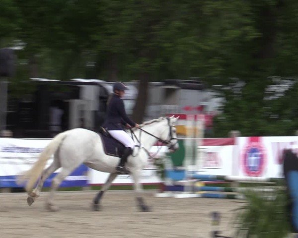 Reitturnier Bremen - Reitanlage Forkert 2025
