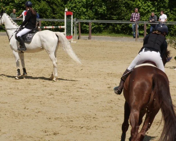 Reitturnier Winnenden 2025