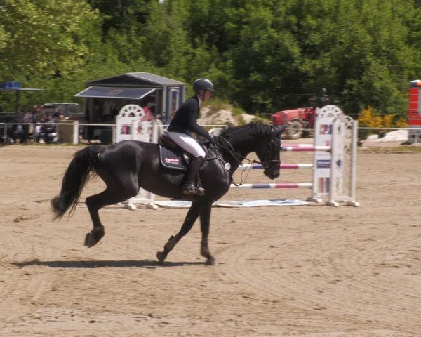 Reitturnier Heiligenwald 2025