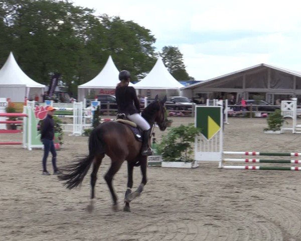 Reitturnier Bremen - Reitanlage Forkert 2025