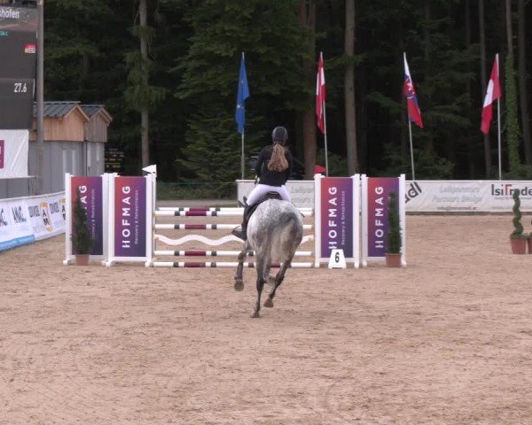 Reitturnier Ranshofen - Braunau am Inn 2025