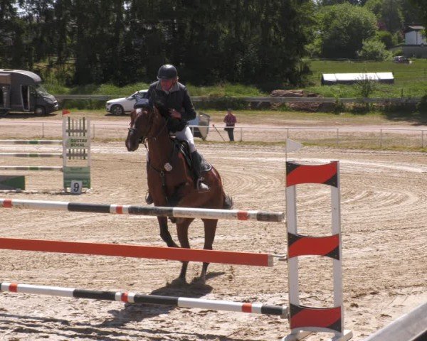 Reitturnier Heiligenwald 2025