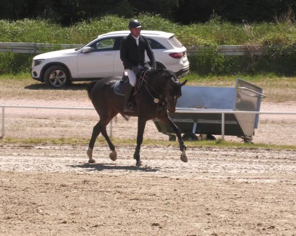 Reitturnier Heiligenwald 2025