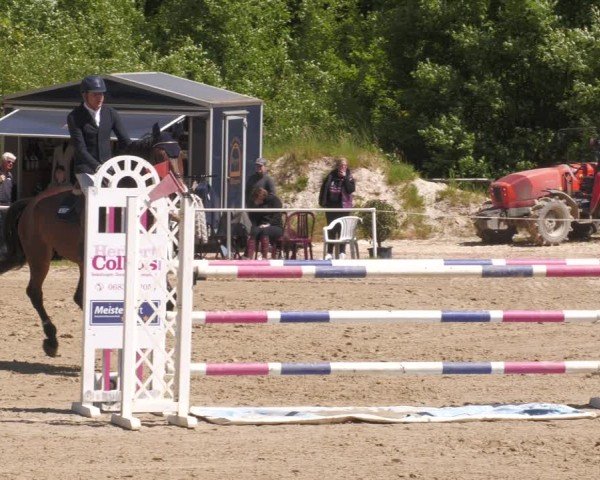 Reitturnier Heiligenwald 2025