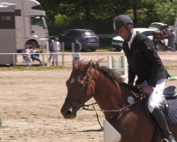 Reitturnier Heiligenwald 2025