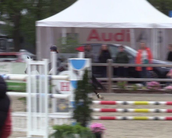 Reitturnier Bremen - Reitanlage Forkert 2025