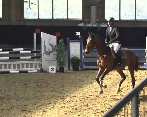 Hallenspringturnier Weilheim/Teck 2014