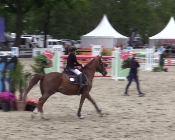 Reitturnier Bremen - Reitanlage Forkert 2025