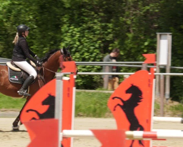 Reitturnier Winnenden 2025