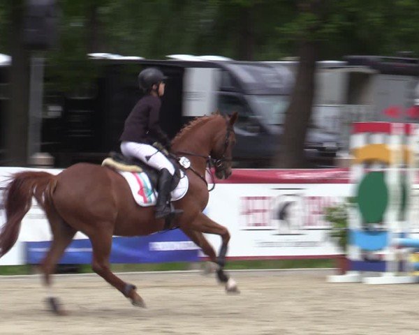 Reitturnier Bremen - Reitanlage Forkert 2025