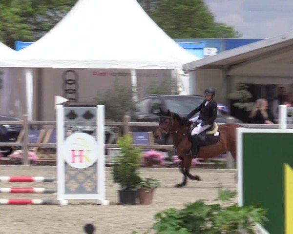 Reitturnier Bremen - Reitanlage Forkert 2025