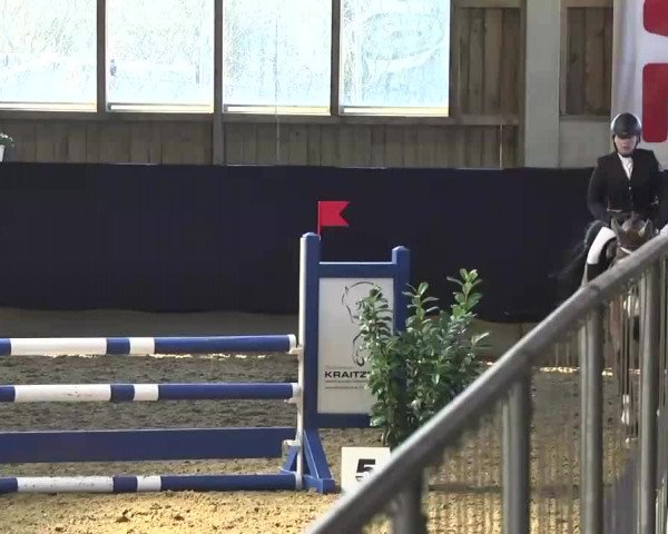 Hallenspringturnier Weilheim/Teck 2014