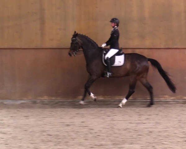 Reitturnier Risum-Lindholm 2025
