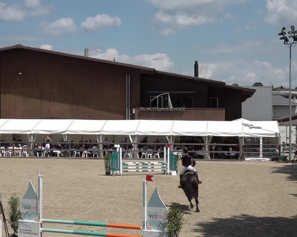 Reitturnier Sulgen 2025