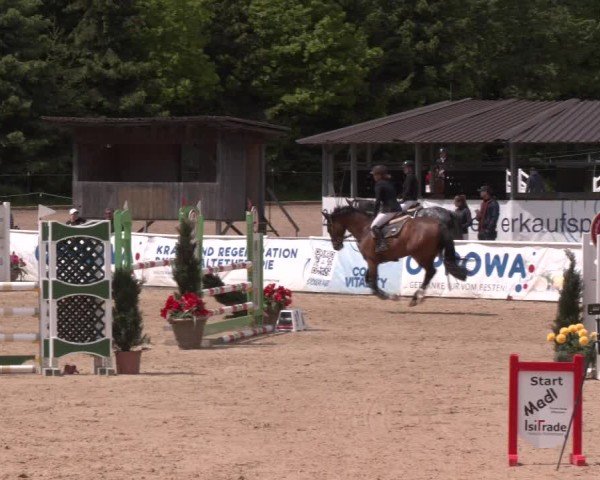 Reitturnier Ranshofen - Braunau am Inn 2025