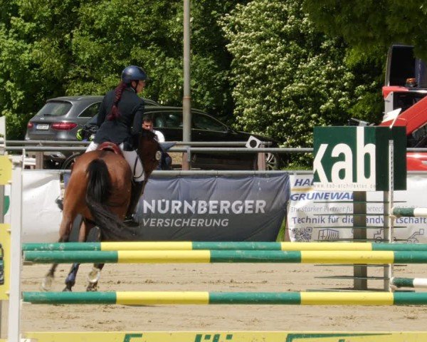 Reitturnier Winnenden 2025