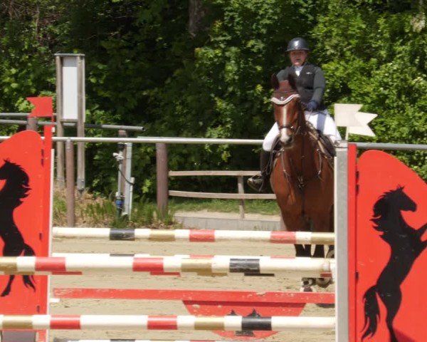 Reitturnier Winnenden 2025