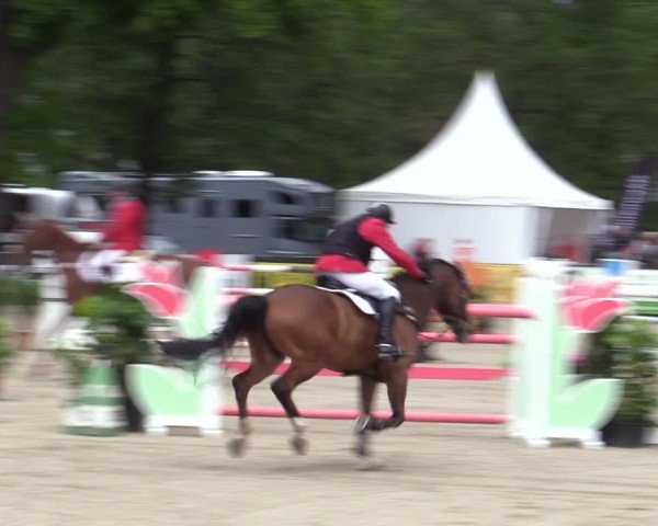 Reitturnier Bremen - Reitanlage Forkert 2025