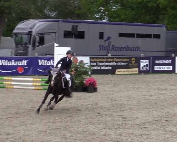 Reitturnier Bremen - Reitanlage Forkert 2025