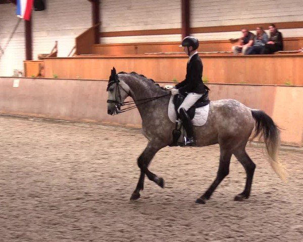Reitturnier Risum-Lindholm 2025