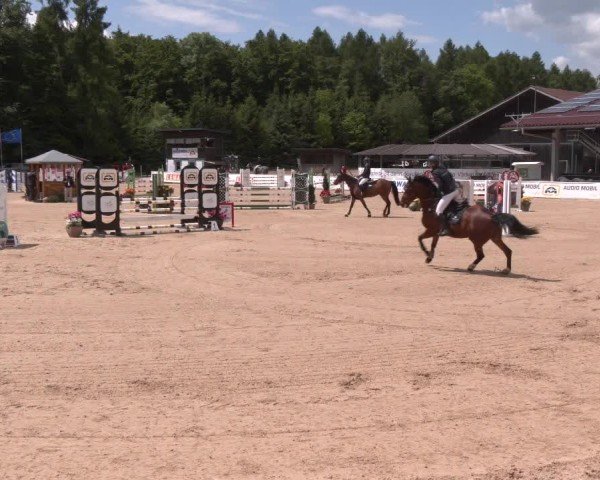 Reitturnier Ranshofen - Braunau am Inn 2025