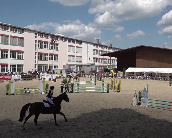 Reitturnier Sulgen 2025