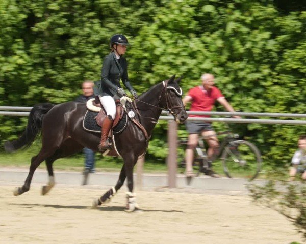 Reitturnier Winnenden 2025