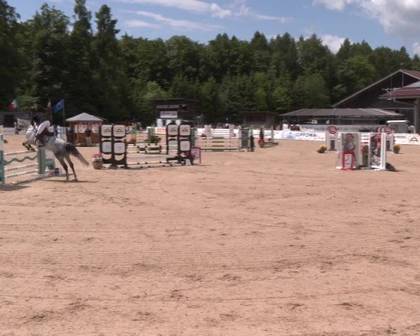Reitturnier Ranshofen - Braunau am Inn 2025